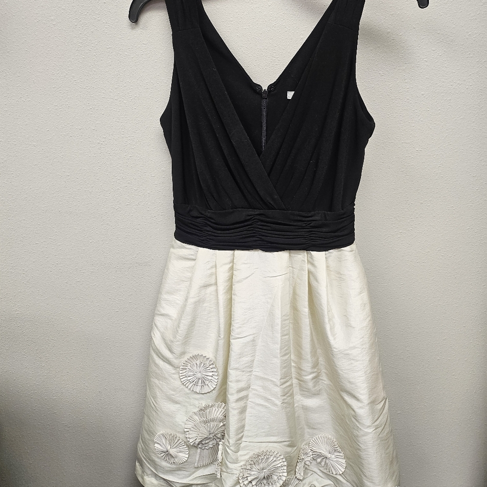 Elegant Black and Cream Dress